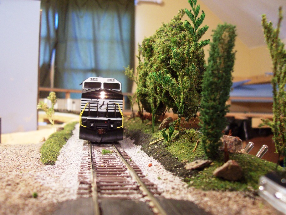 Grade crossing and scenery with trees
